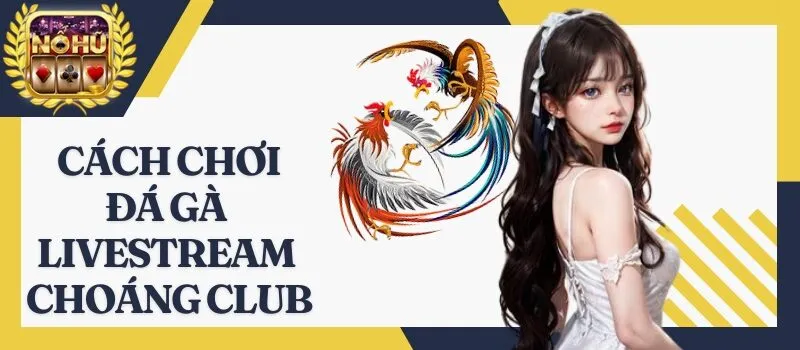 Đá Gà Livestream Choáng Club - Mẹo chơi thắng lớn từ cao thủ